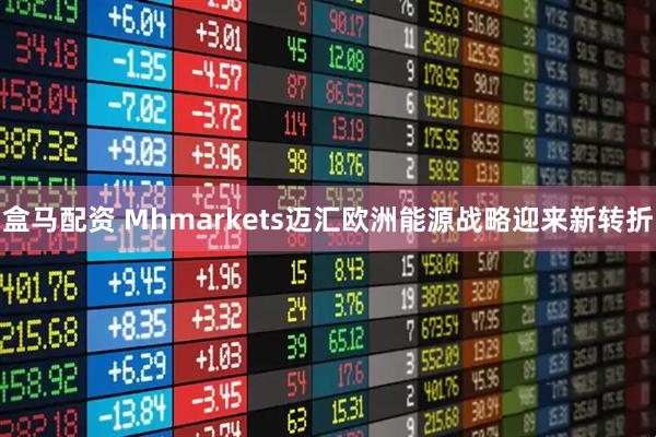 盒马配资 Mhmarkets迈汇欧洲能源战略迎来新转折